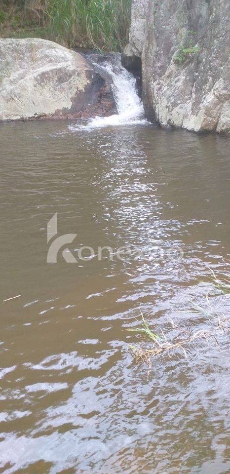 Fazenda, 154 hectares - Foto 4