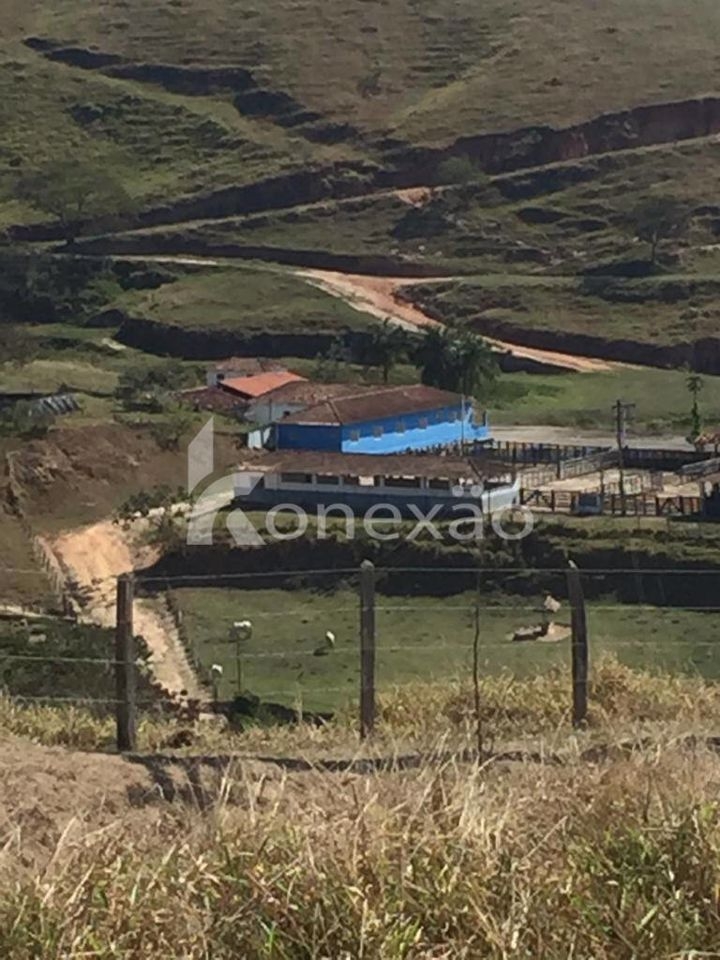 Fazenda, 154 hectares - Foto 1