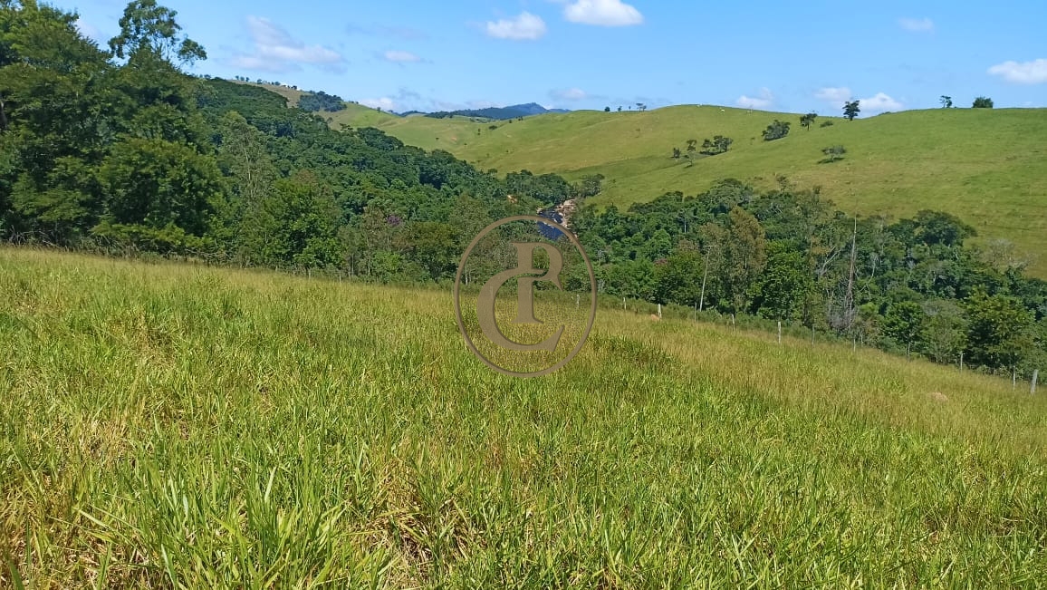 Sítio, 2 quartos, 100 m² - Foto 1