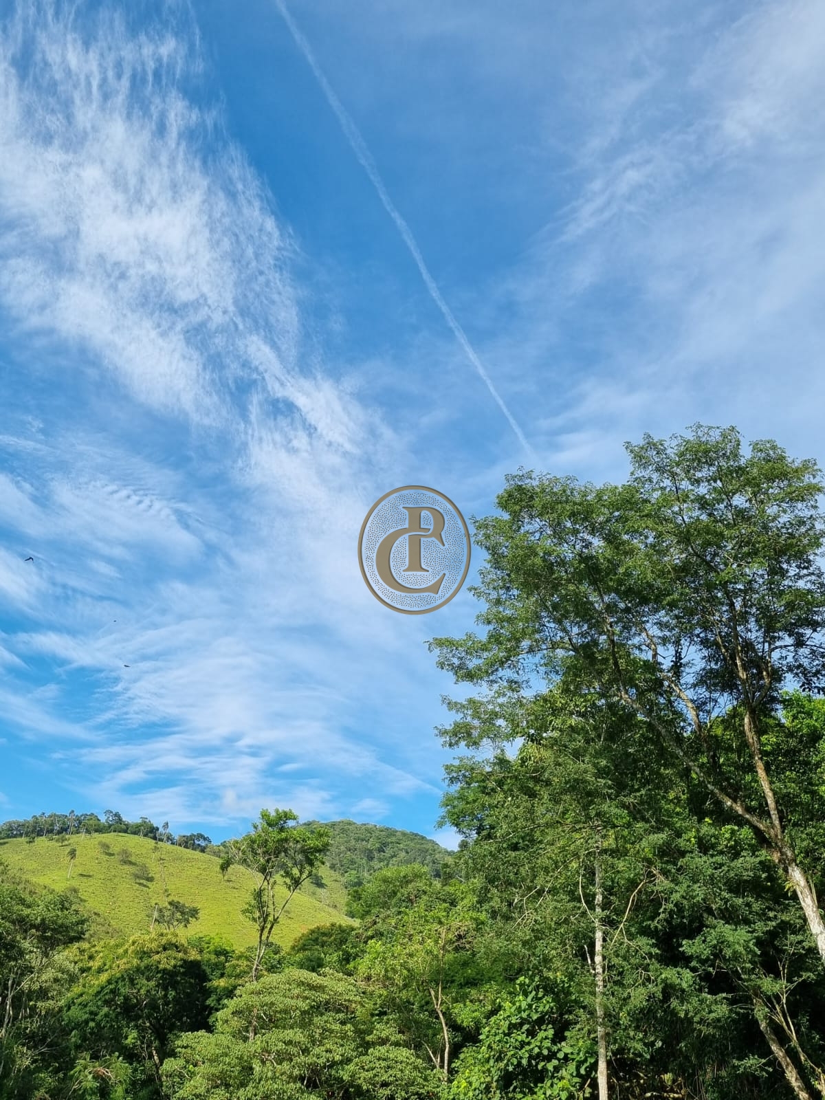 Sítio, 5 quartos, 1200 m² - Foto 14