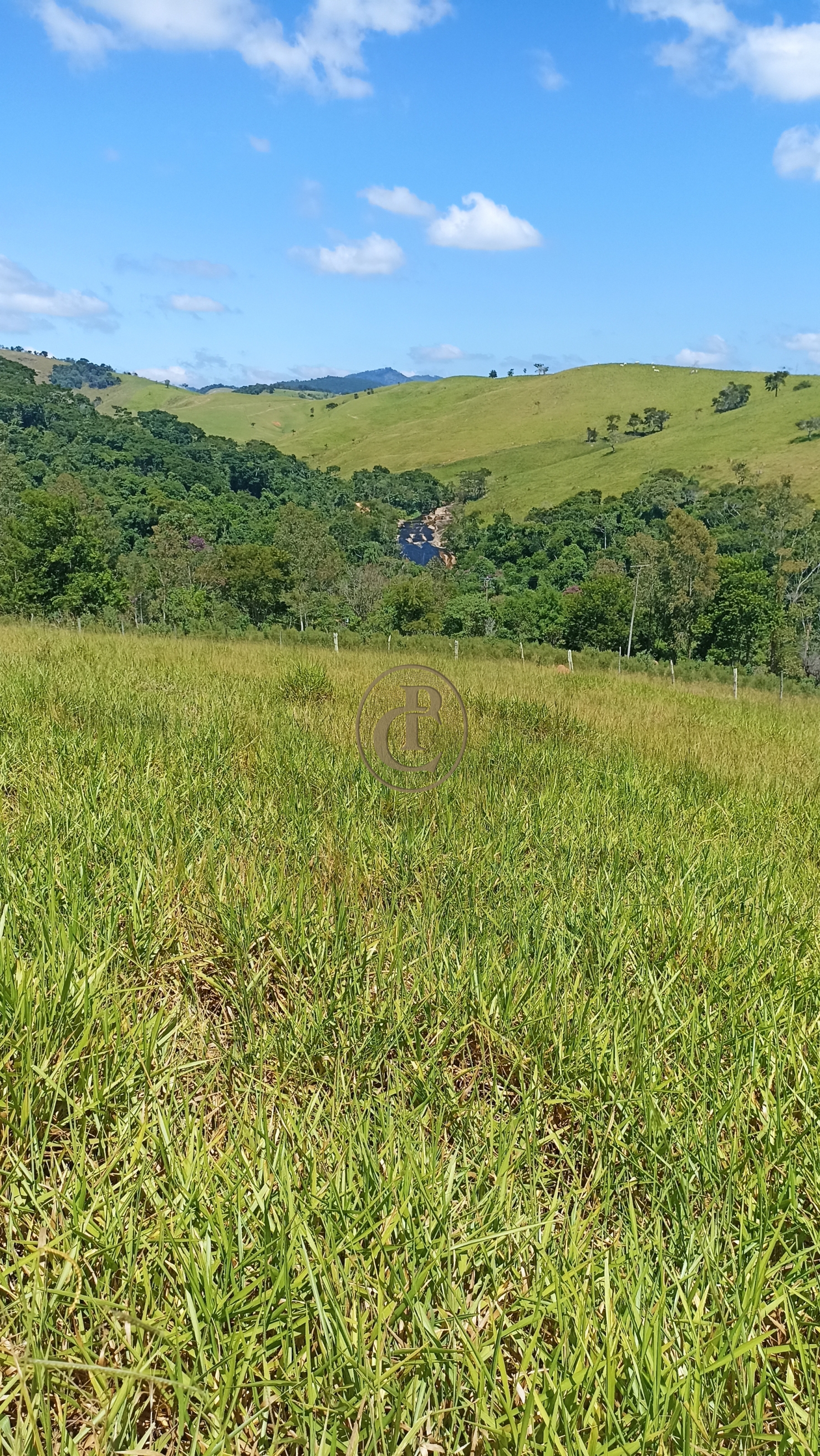 Sítio, 2 quartos, 100 m² - Foto 4