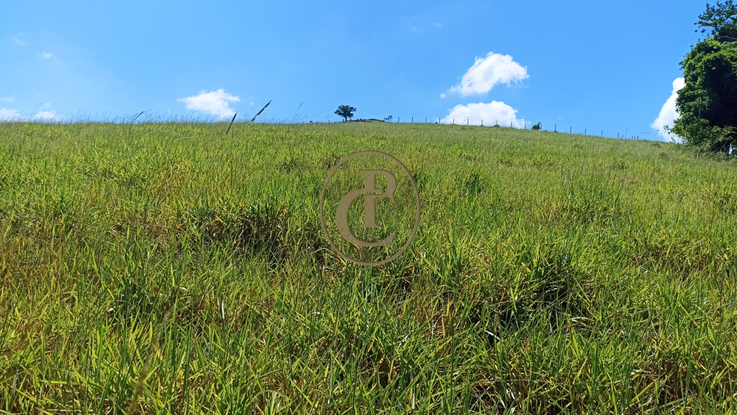 Sítio, 2 quartos, 100 m² - Foto 5