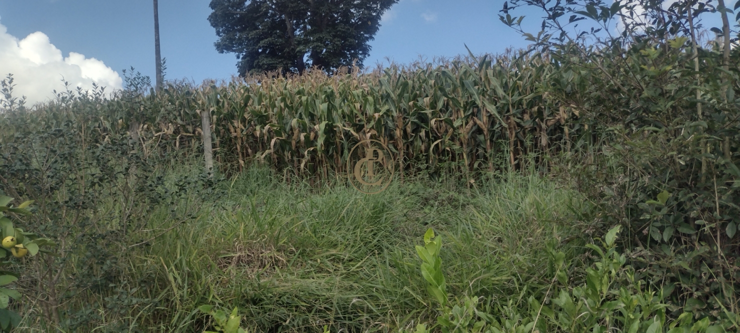 Fazenda-Sítio-Chácara, 100 m² - Foto 4