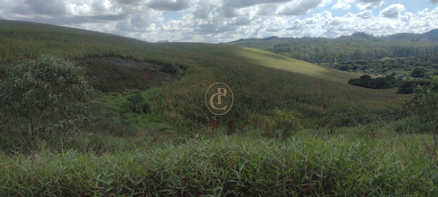 Fazenda-Sítio-Chácara, 100 m² - Foto 7