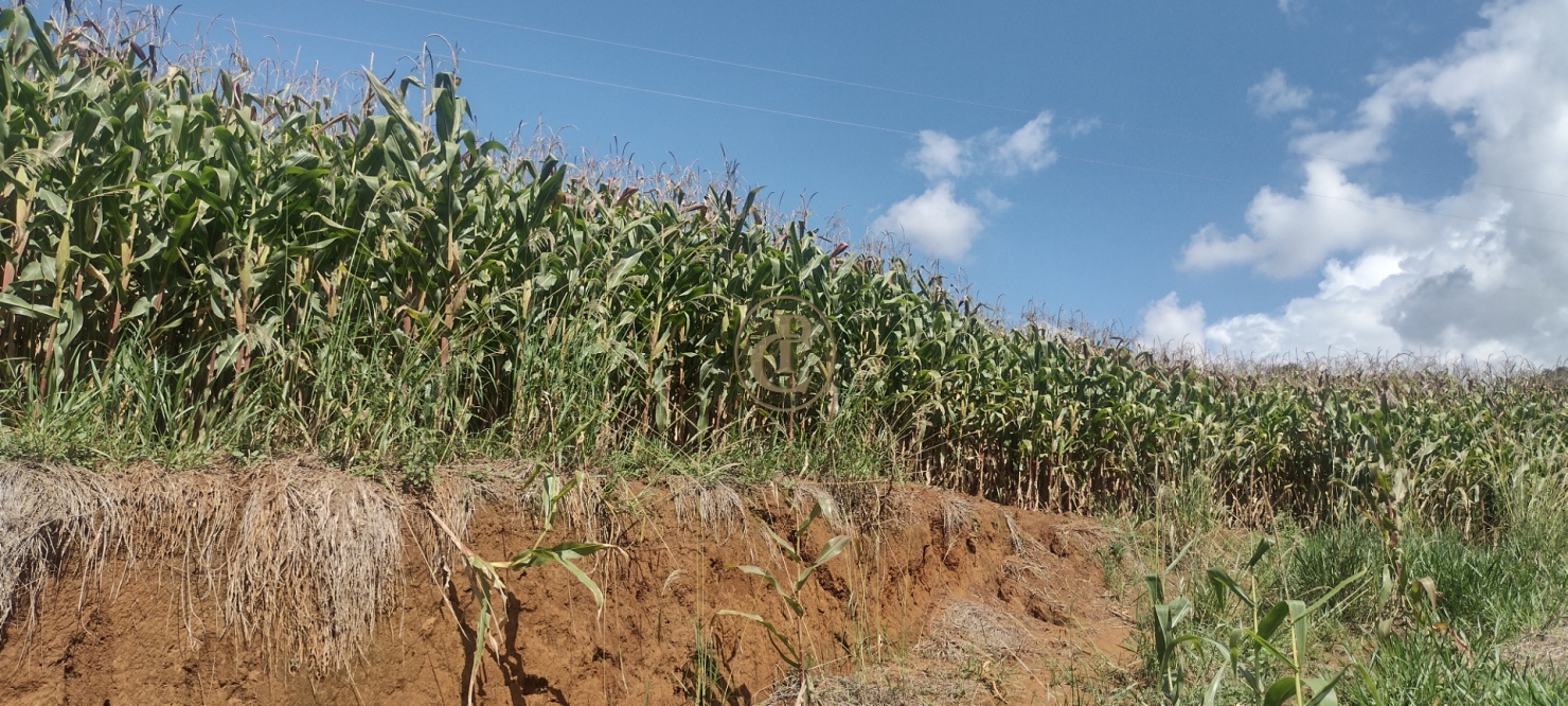 Fazenda-Sítio-Chácara, 100 m² - Foto 12