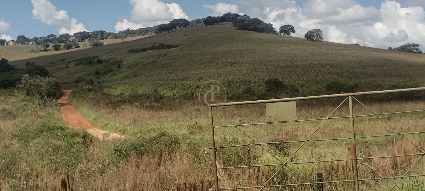 Fazenda-Sítio-Chácara, 100 m² - Foto 13