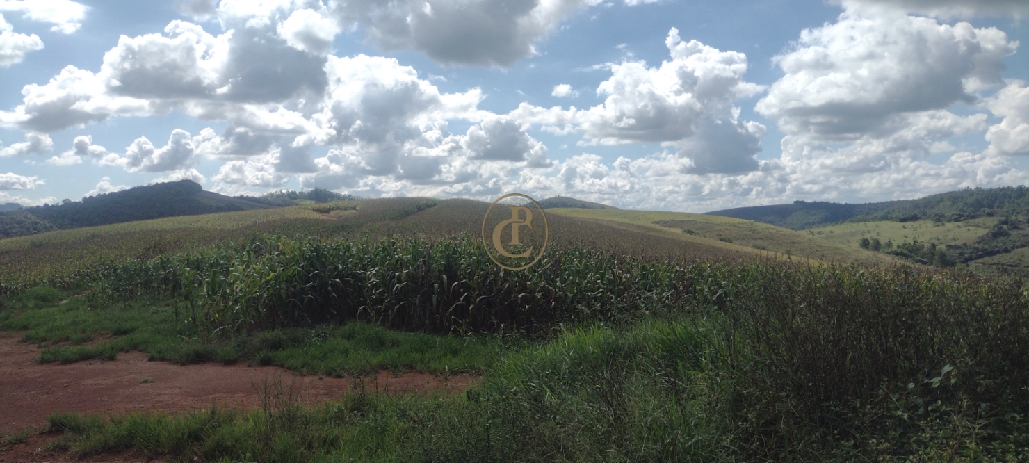 Fazenda-Sítio-Chácara, 100 m² - Foto 16