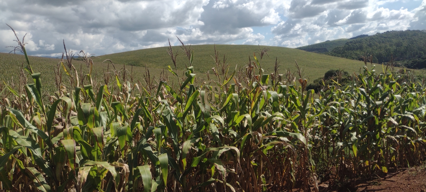 Fazenda-Sítio-Chácara, 100 m² - Foto 18