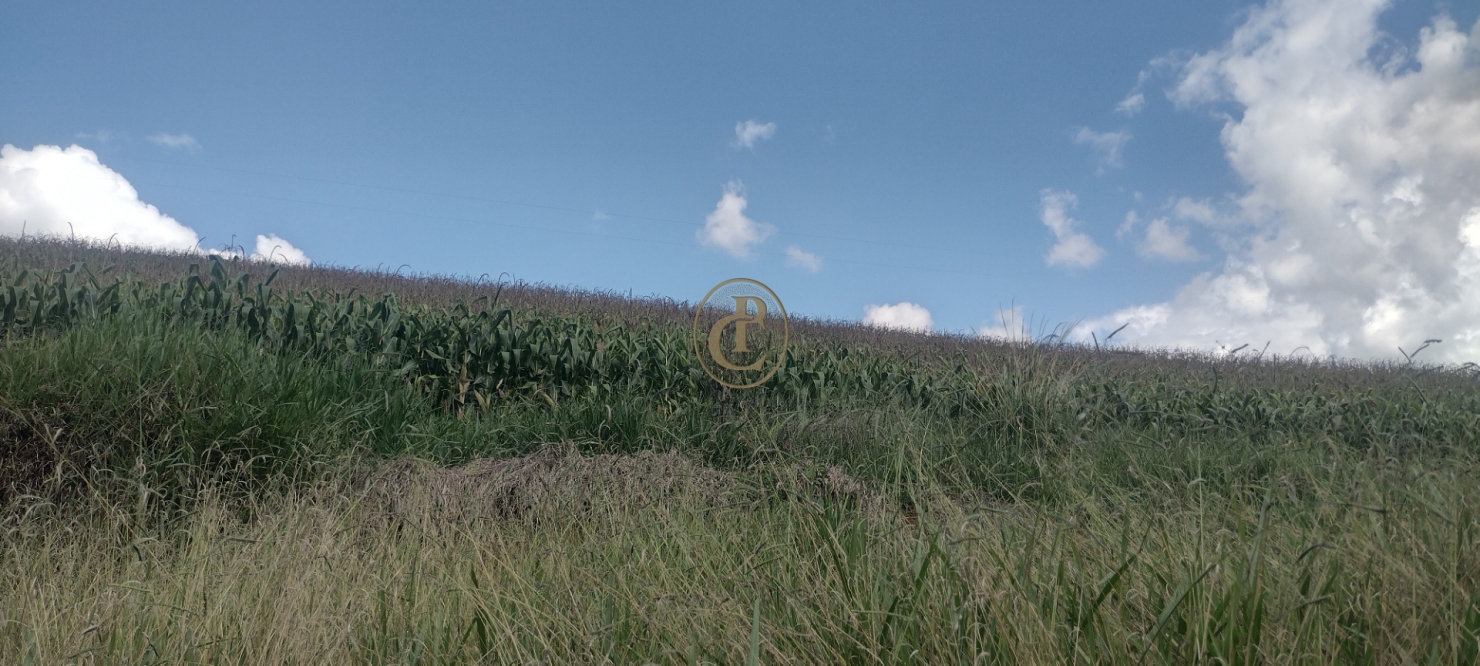 Fazenda-Sítio-Chácara, 100 m² - Foto 26