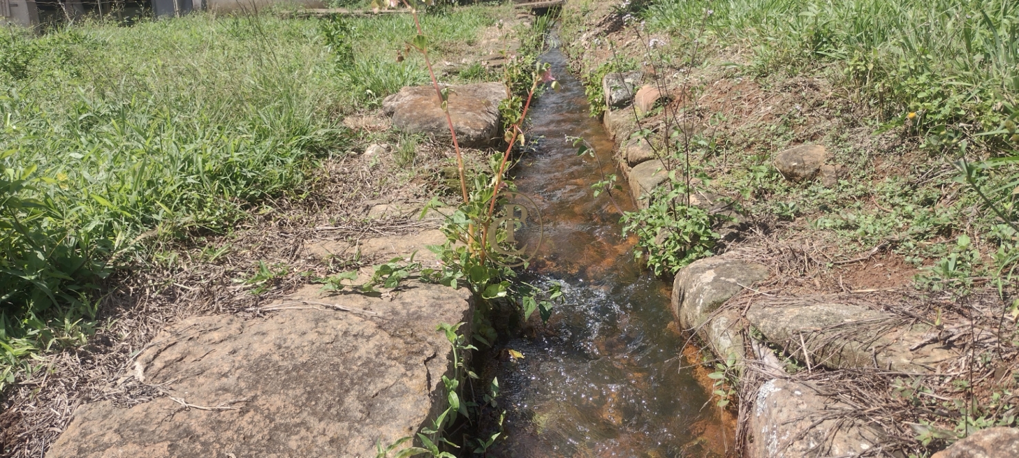 Fazenda-Sítio-Chácara, 100 m² - Foto 35