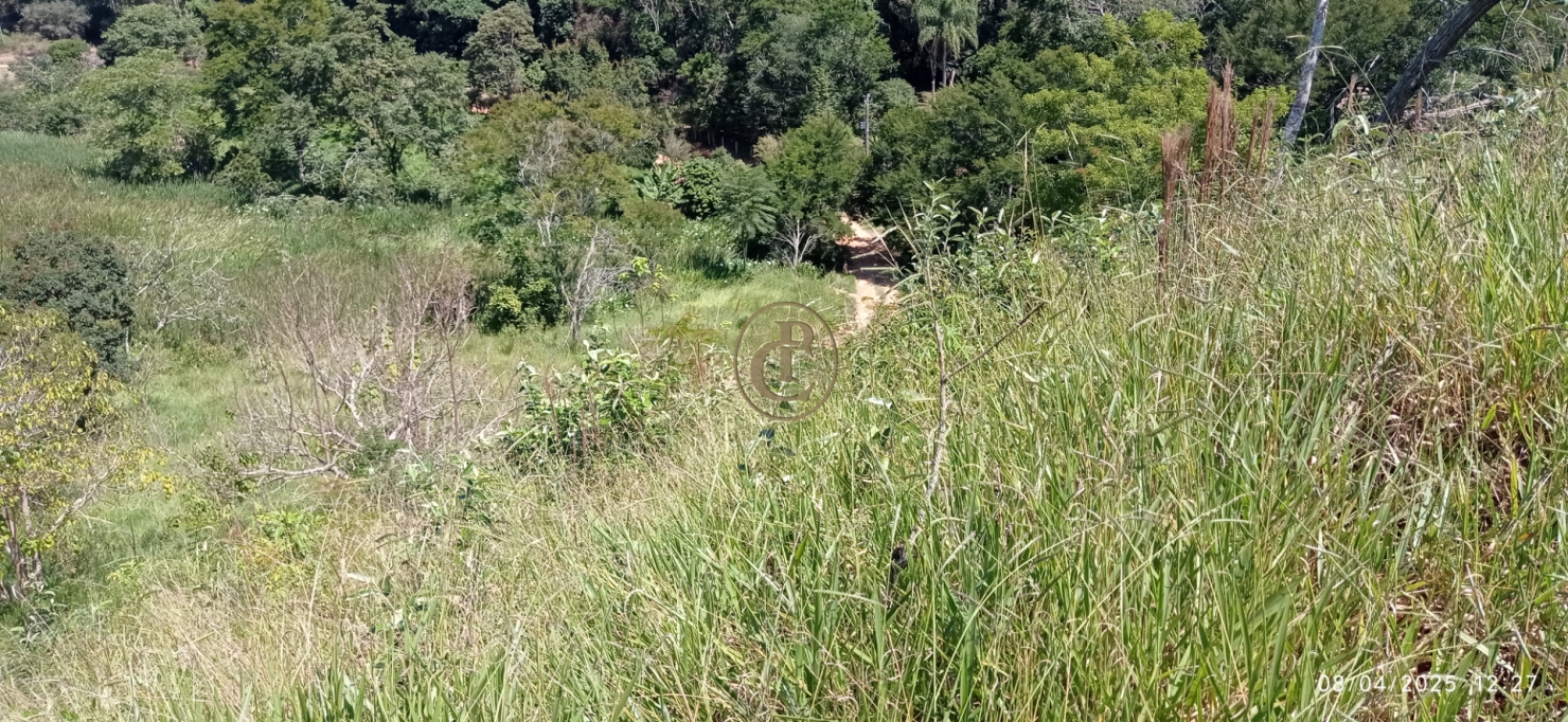 Terreno, 6 hectares - Foto 4