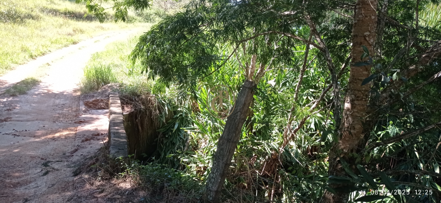 Terreno, 6 hectares - Foto 6