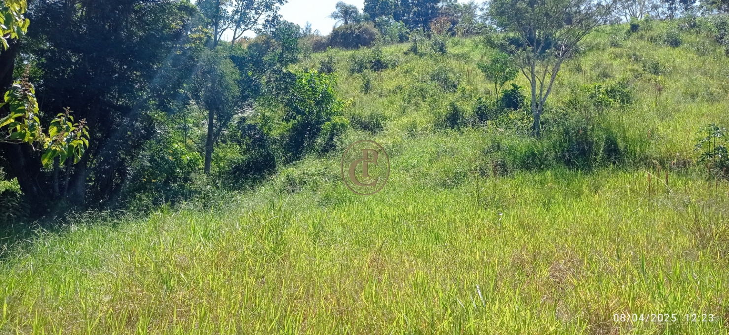 Terreno, 6 hectares - Foto 7