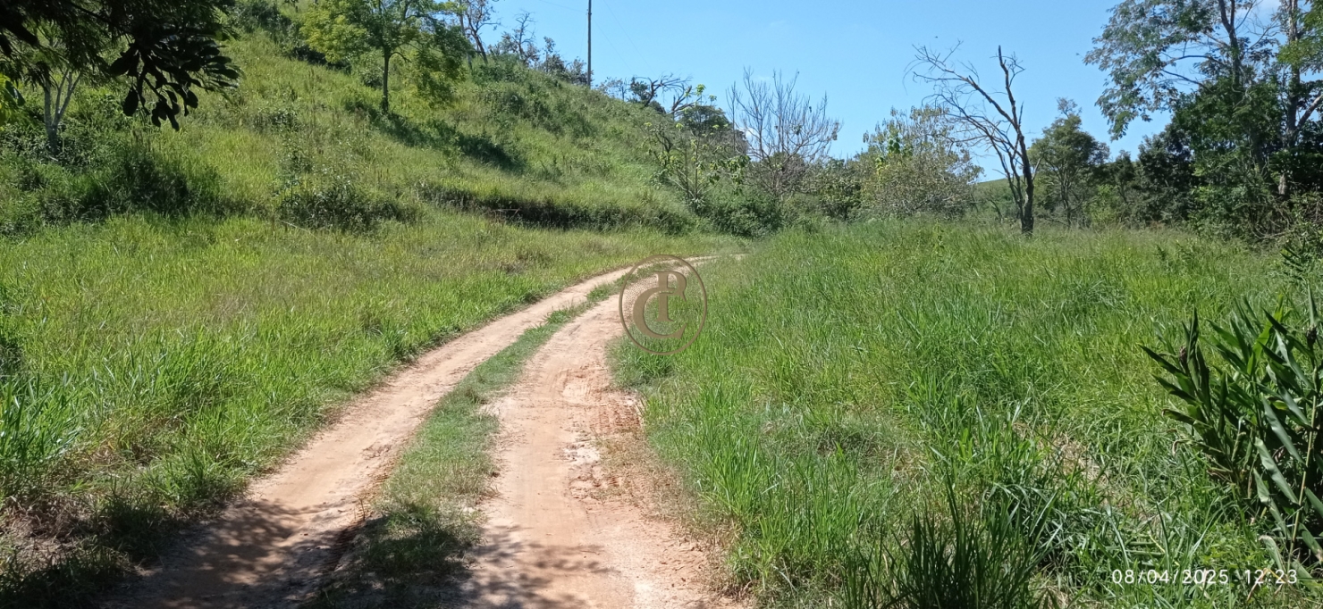 Terreno, 6 hectares - Foto 8