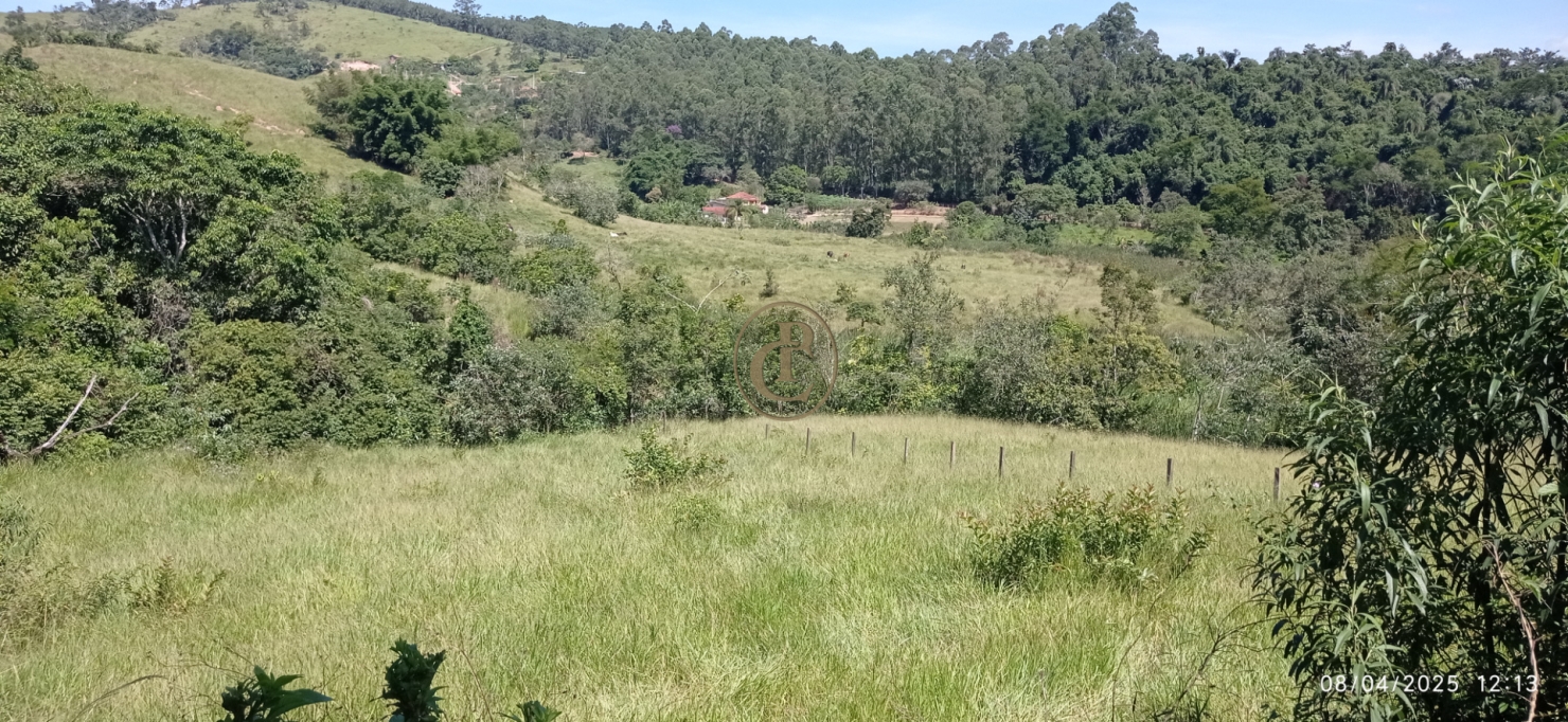 Terreno, 6 hectares - Foto 9