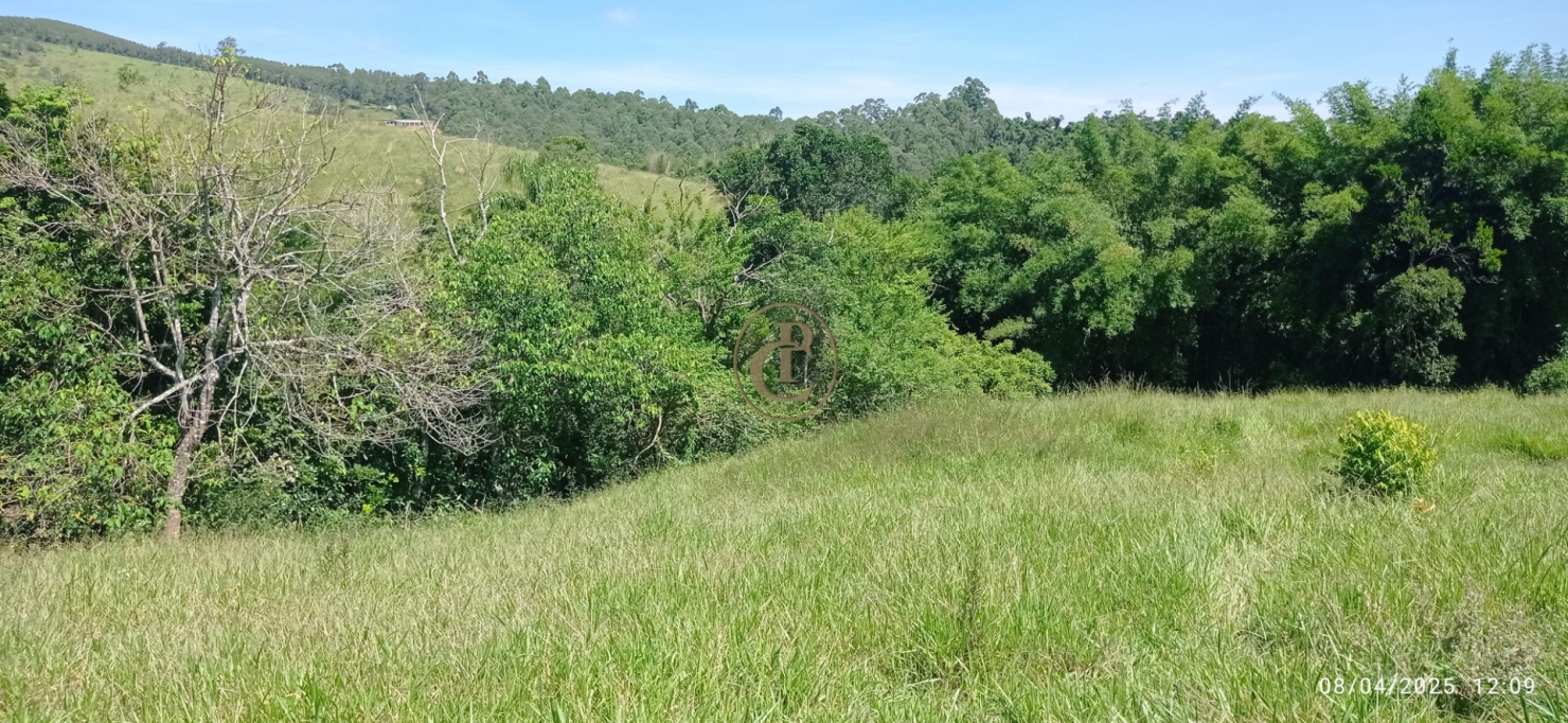 Terreno, 6 hectares - Foto 11