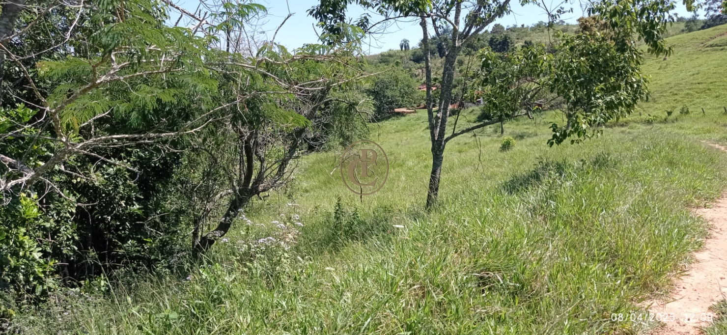 Terreno, 6 hectares - Foto 12