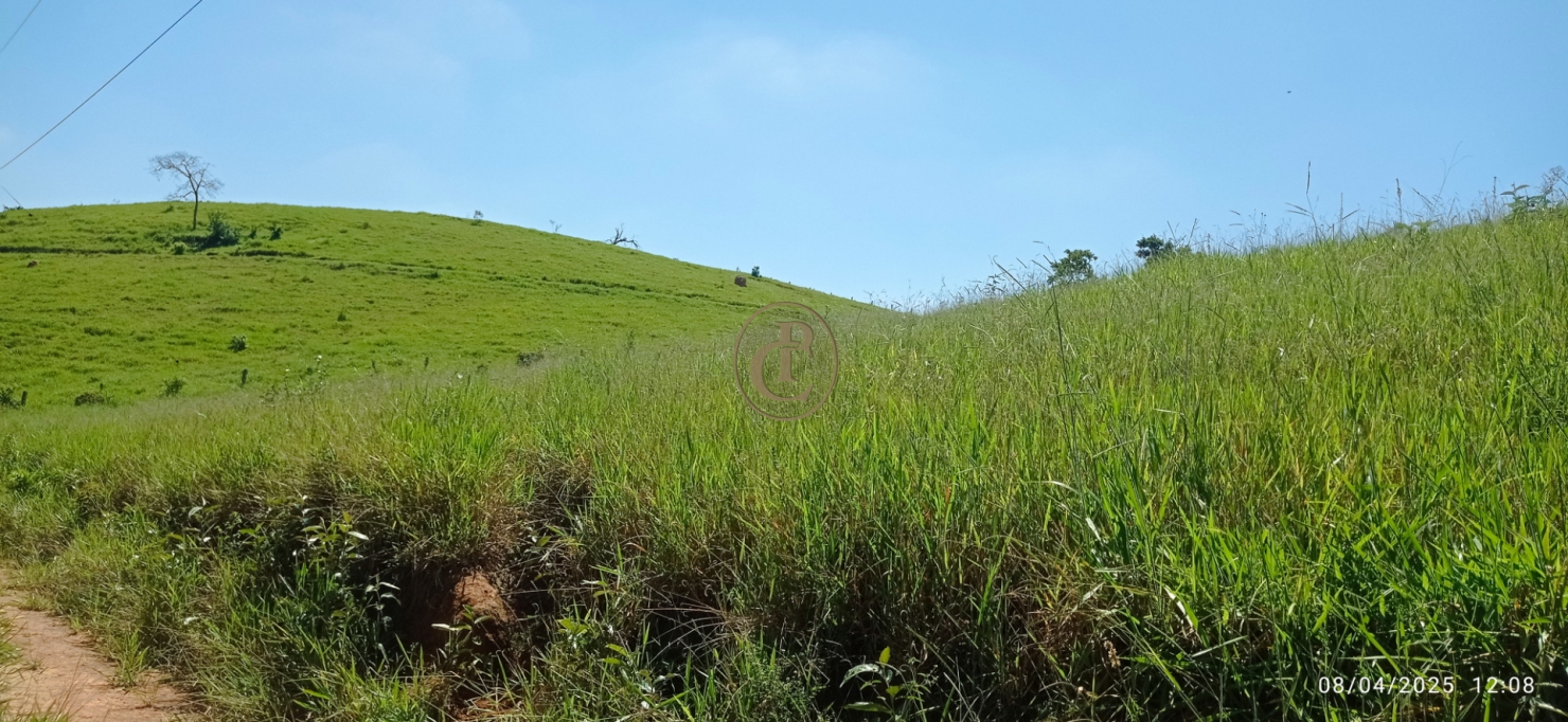 Terreno, 6 hectares - Foto 13