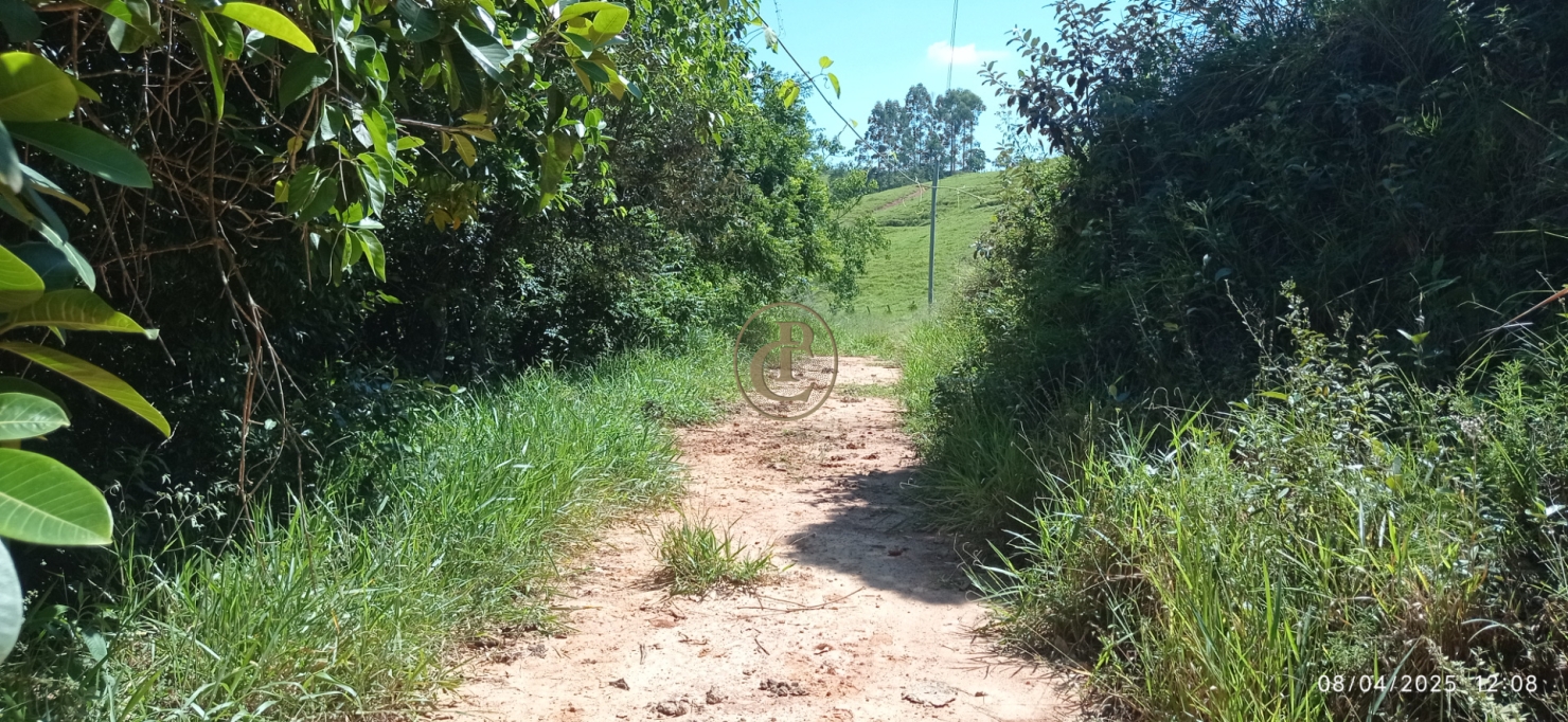 Terreno, 6 hectares - Foto 14