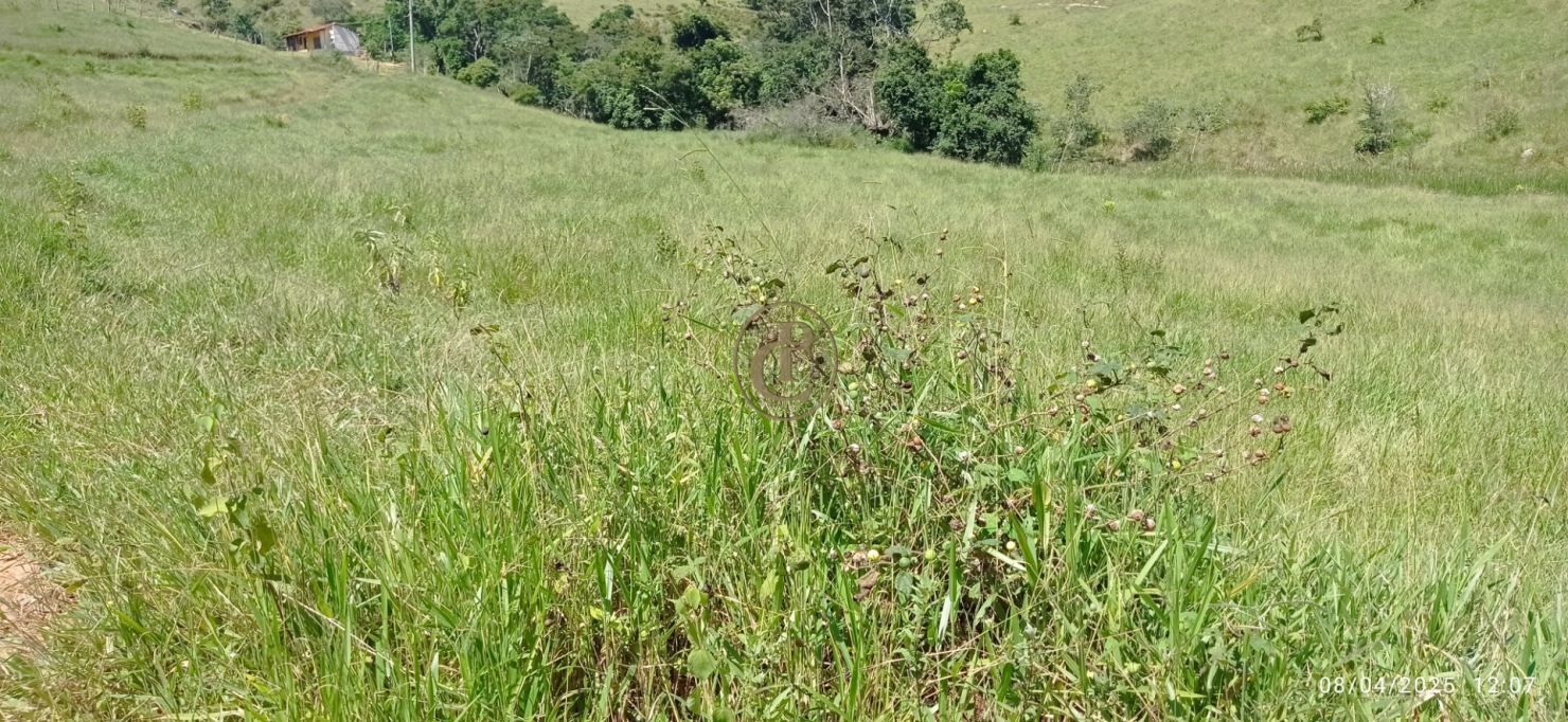 Terreno, 6 hectares - Foto 16