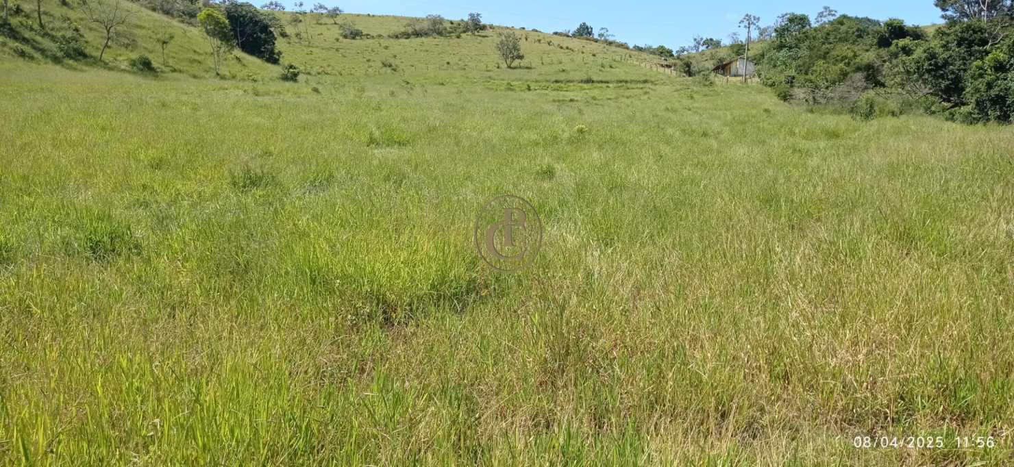 Terreno, 6 hectares - Foto 2