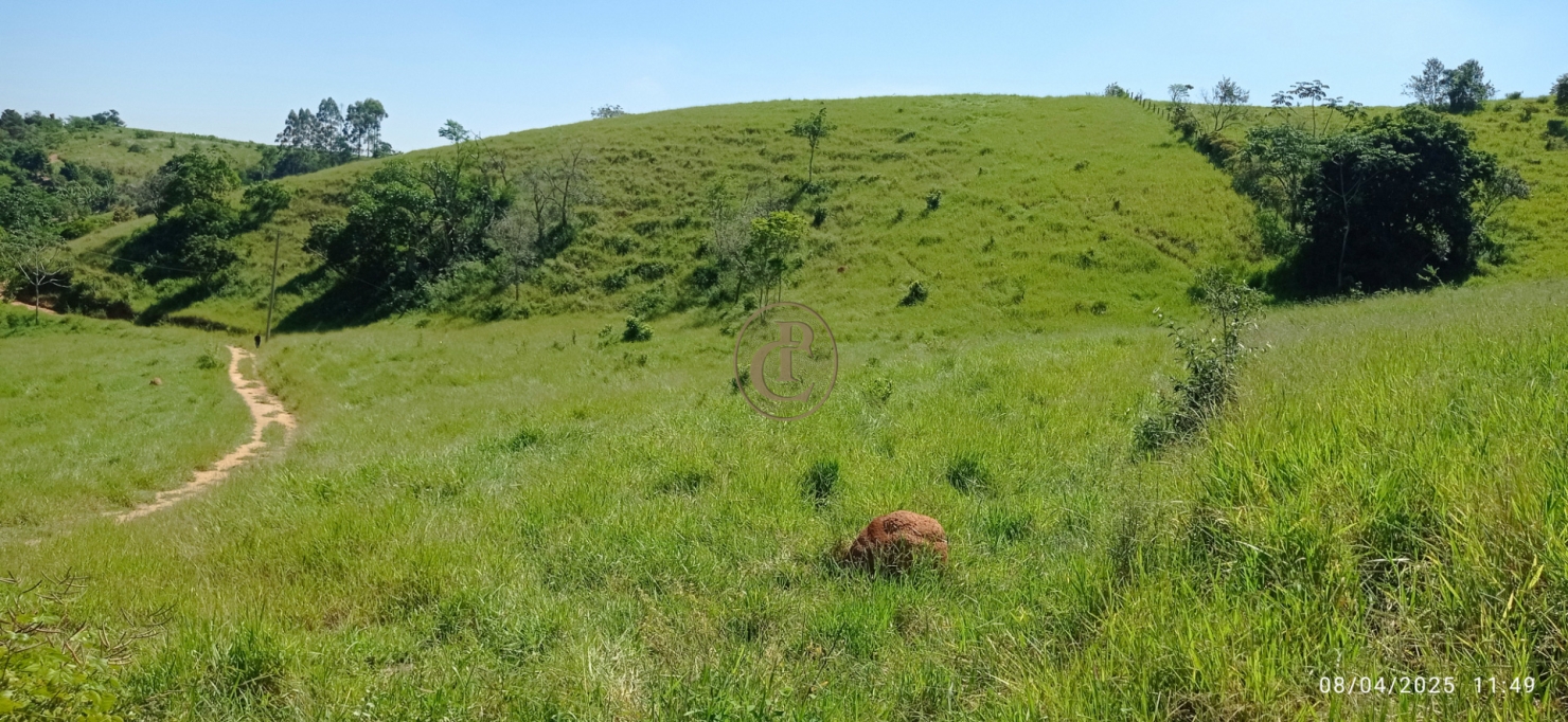 Terreno, 6 hectares - Foto 18