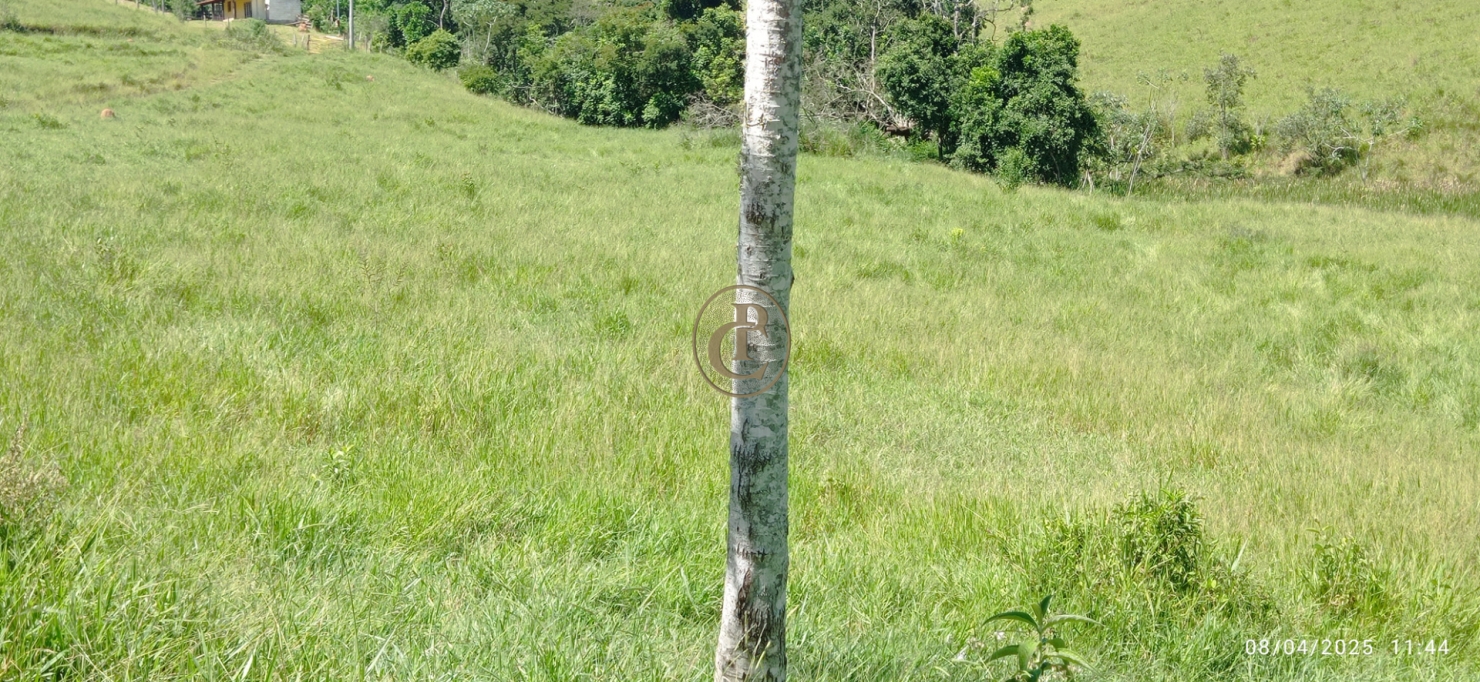 Terreno, 6 hectares - Foto 19