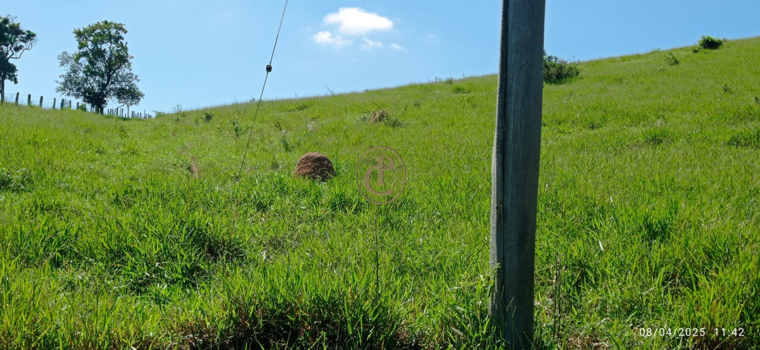 Terreno, 6 hectares - Foto 20