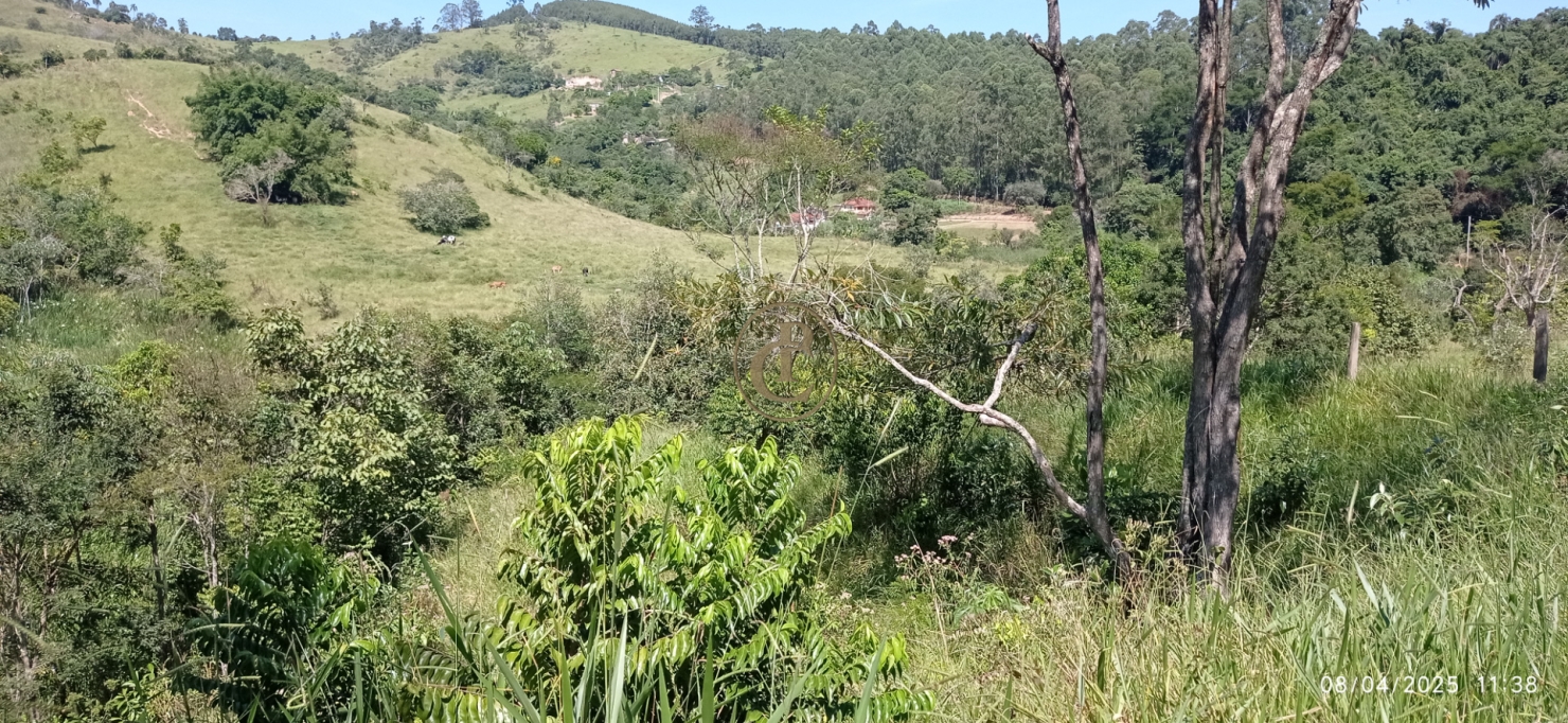 Terreno, 6 hectares - Foto 21