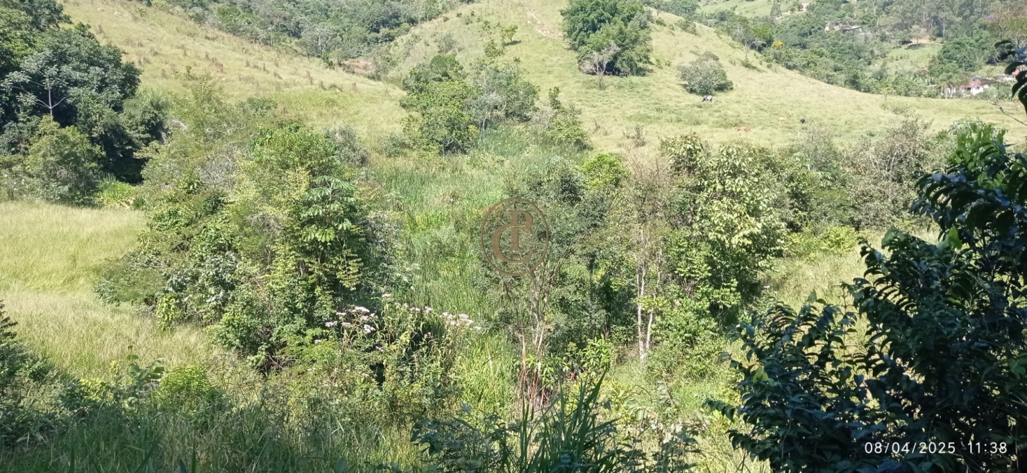 Terreno, 6 hectares - Foto 22