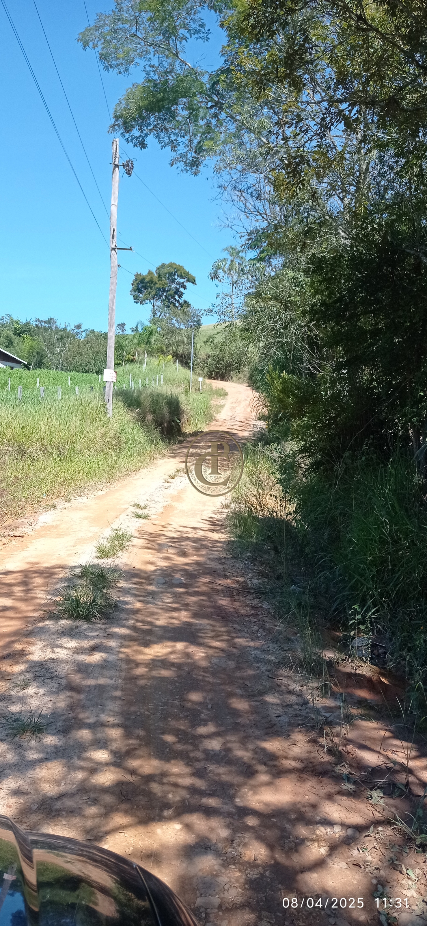 Terreno, 6 hectares - Foto 23