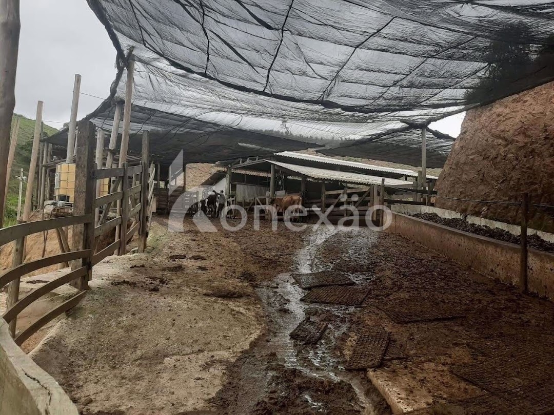 Fazenda em Paraibuna/São Paulo — Ref NJA5BS — Imagem 9