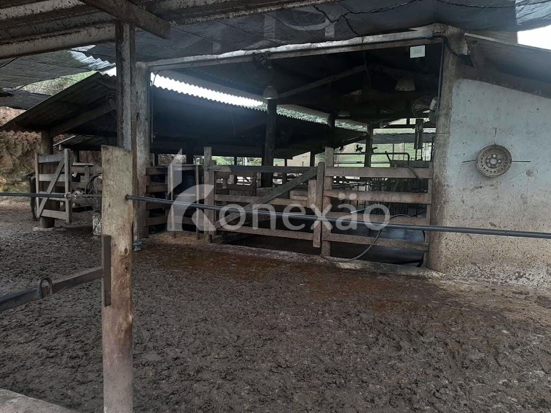 Fazenda, 400 m² - Foto 4