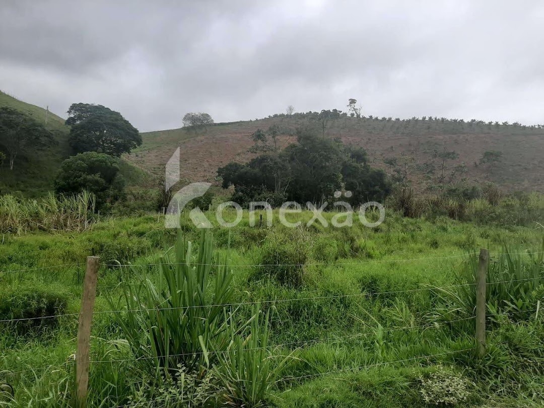 Fazenda em Paraibuna/São Paulo — Ref NJA5BS — Imagem 8