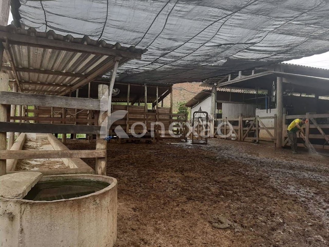 Fazenda em Paraibuna/São Paulo — Ref NJA5BS — Imagem 16