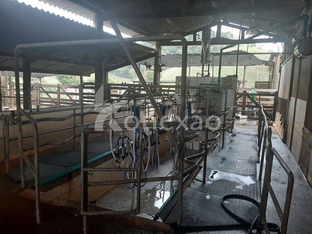 Fazenda, 400 m² - Foto 3