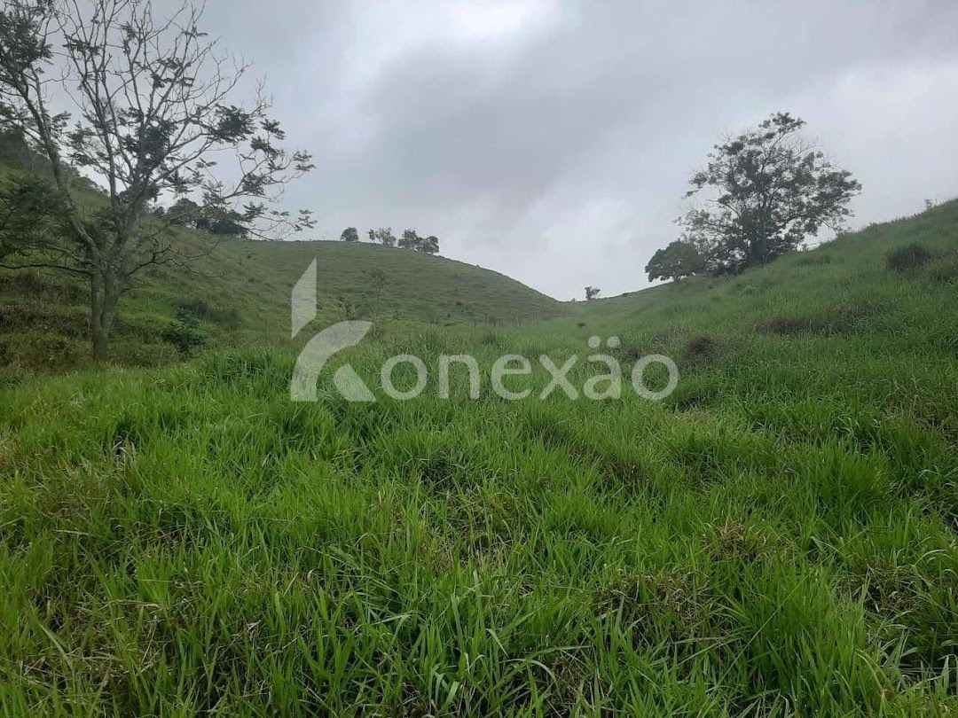 Fazenda em Paraibuna/São Paulo — Ref NJA5BS — Imagem 29