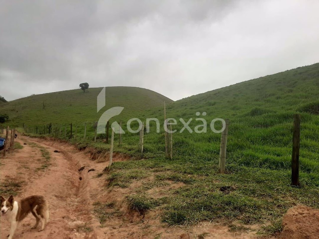 Fazenda em Paraibuna/São Paulo — Ref NJA5BS — Imagem 26