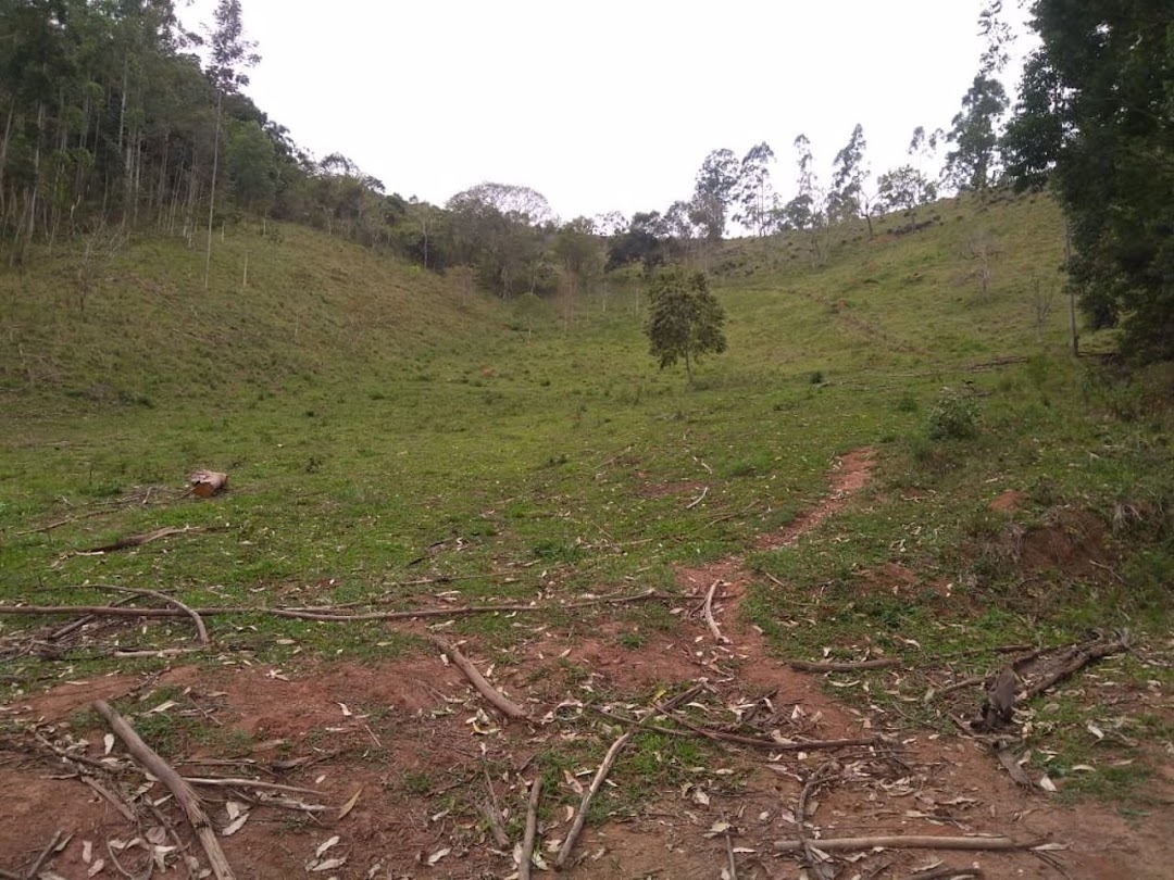 Fazenda em Paraibuna/São Paulo — Ref FDM3Y6 — Imagem 8