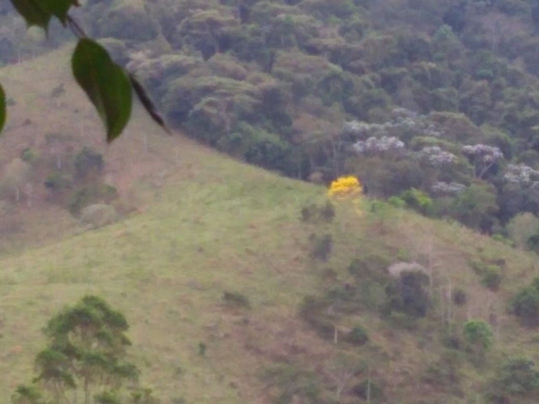 Fazenda, 600 m² - Foto 4