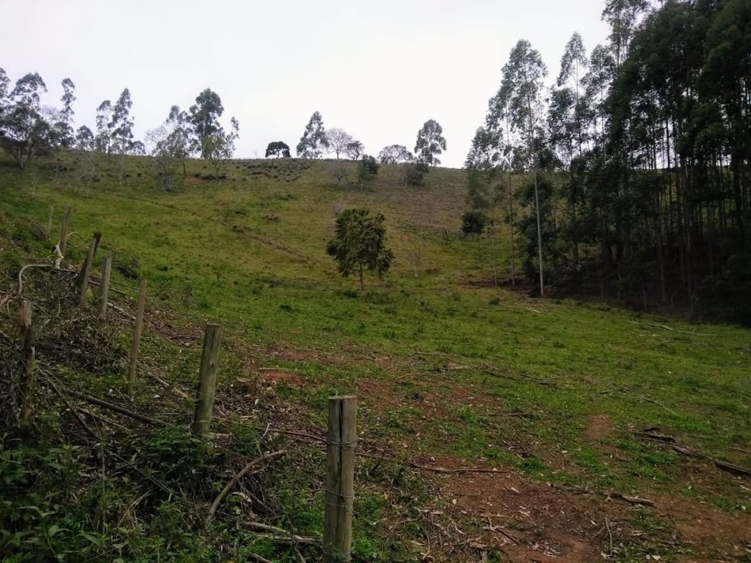Fazenda em Paraibuna/São Paulo — Ref FDM3Y6 — Imagem 13