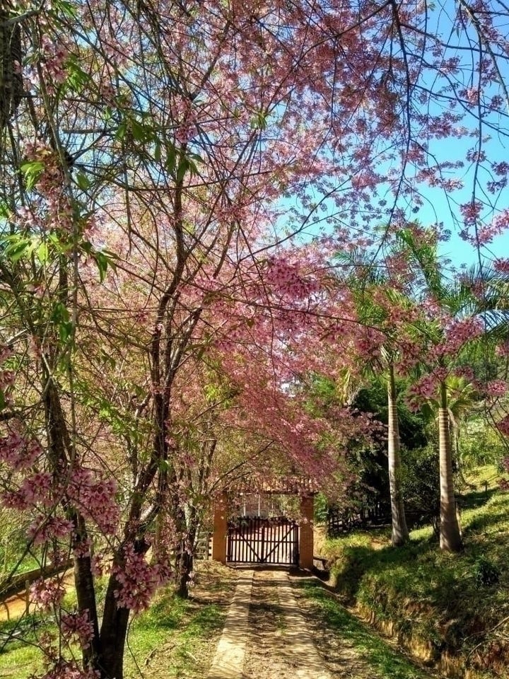 Fazenda em Paraibuna/São Paulo — Ref FDM3Y6 — Imagem 14