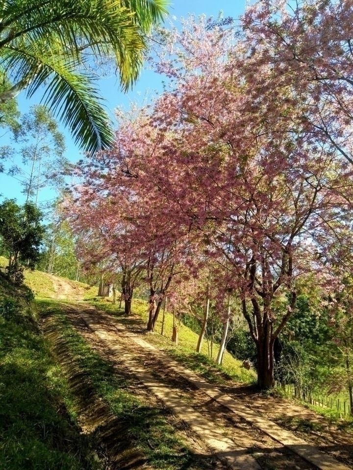 Fazenda em Paraibuna/São Paulo — Ref FDM3Y6 — Imagem 26