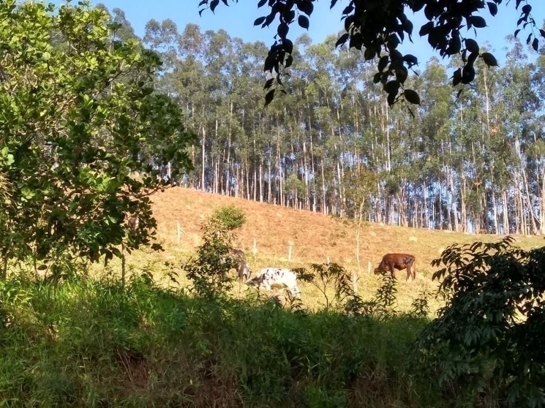 Fazenda em Paraibuna/São Paulo — Ref FDM3Y6 — Imagem 24