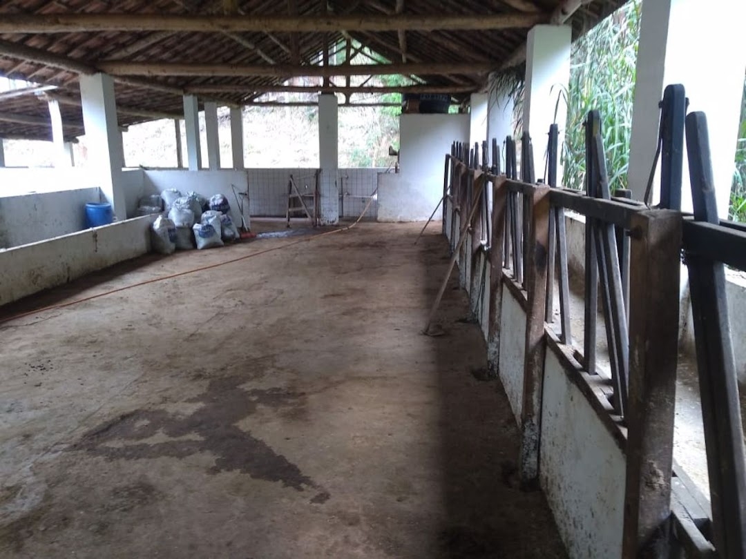 Fazenda em Paraibuna/São Paulo — Ref FDM3Y6 — Imagem 16