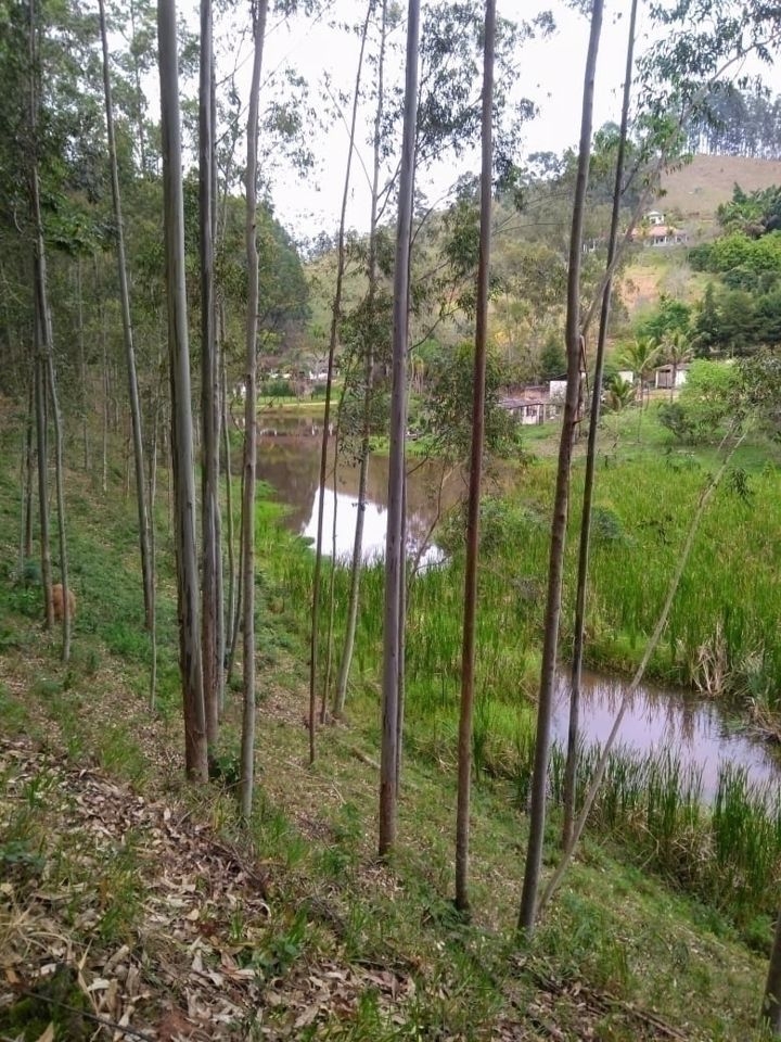 Fazenda em Paraibuna/São Paulo — Ref FDM3Y6 — Imagem 31