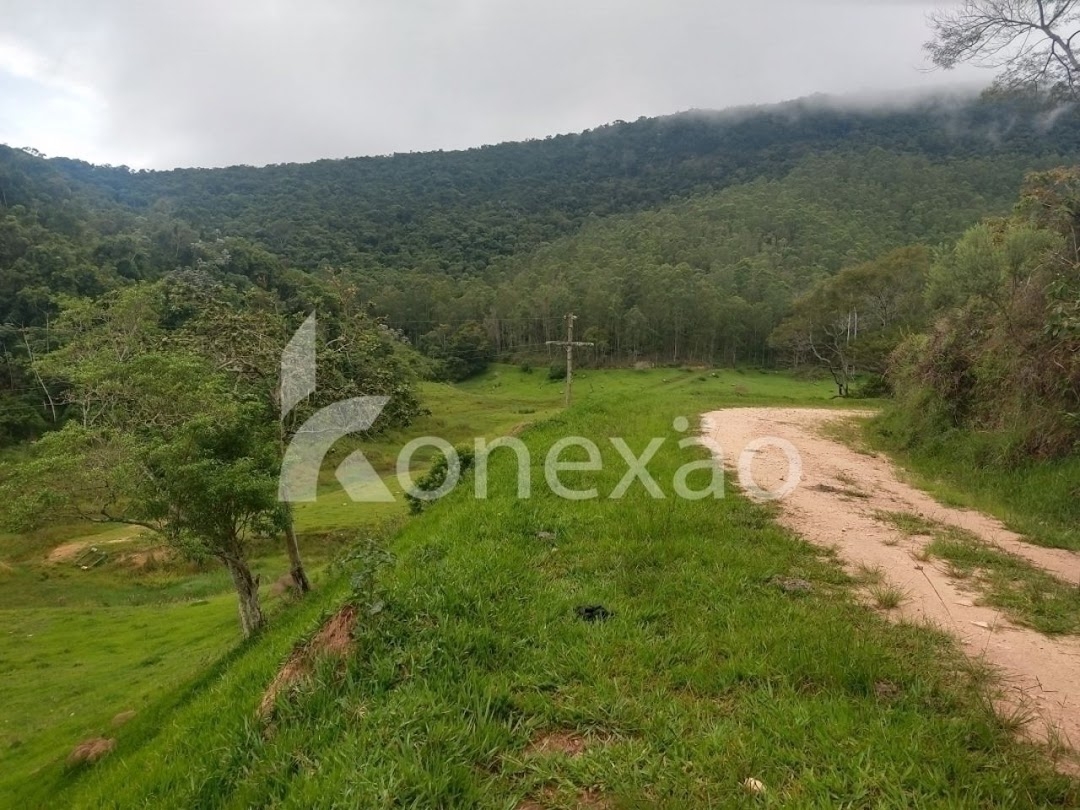 Fazenda-Sítio-Chácara, 100 m² - Foto 5