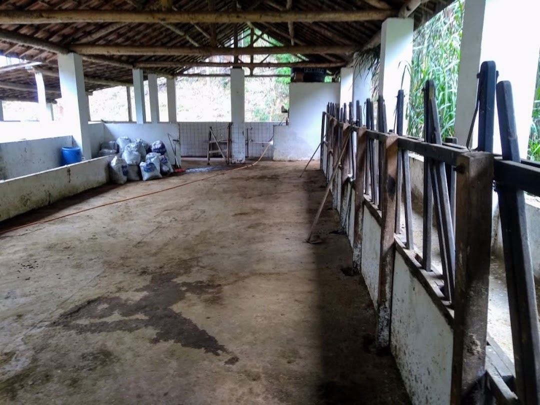 Fazenda em Paraibuna/São Paulo — Ref FDM3Y6 — Imagem 35