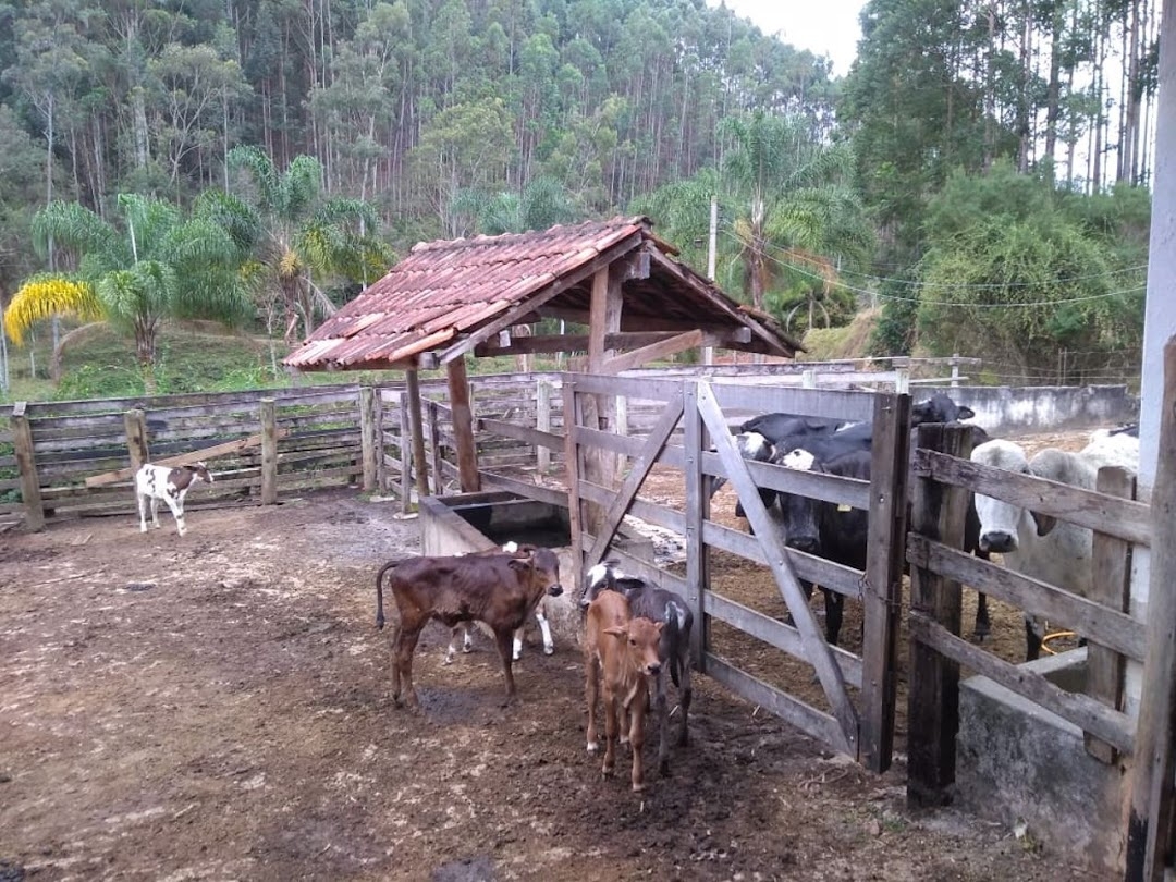 Fazenda, 600 m² - Foto 1