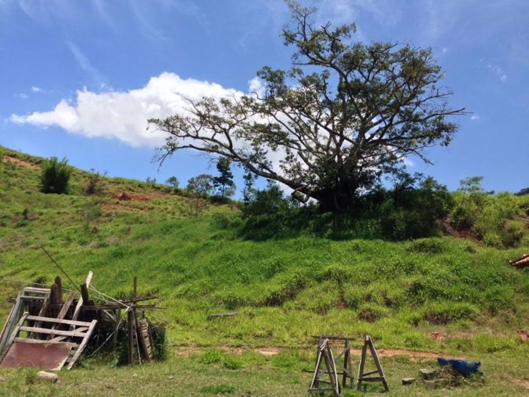 Fazenda em Cunha/São Paulo — Ref K299N2 — Imagem 7